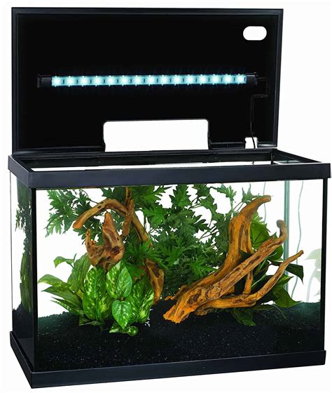 what fish can live in a 10 gallon tank|10 gallon freshwater fish tank.